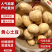 【量大优惠】黄皮黄心土豆，沃土5号品质保障可视频看货