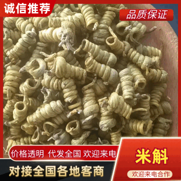 霍山米斛特级大量供货品质上乘欢迎下单诚信经营