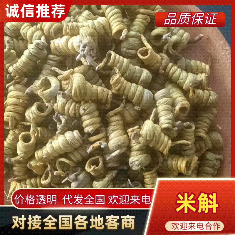 霍山米斛特级大量供货品质上乘欢迎下单诚信经营