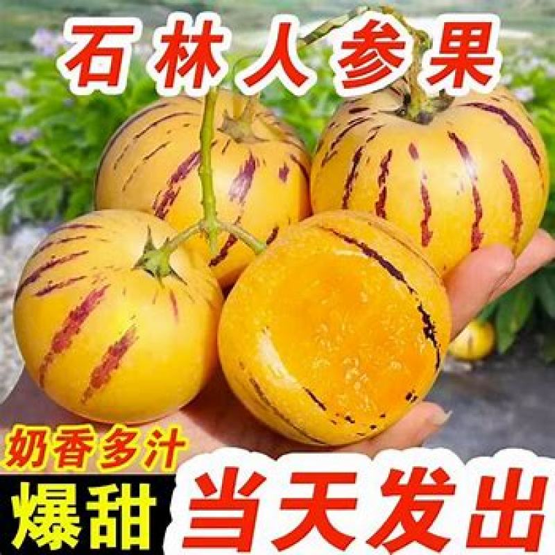 石林人参果