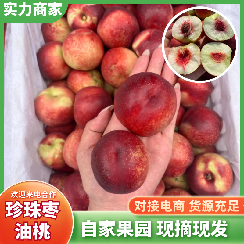 珍珠枣油桃大荔油桃基地直发可视频实地看货欢迎咨询