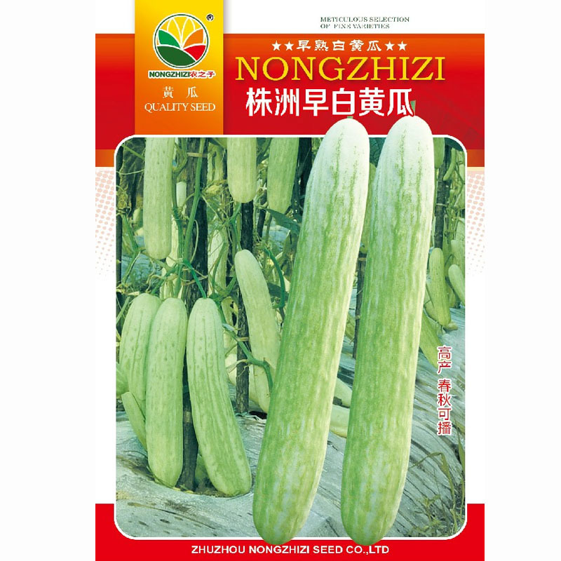 株洲早白黄瓜种子节节有瓜无苦味大田基地品种
