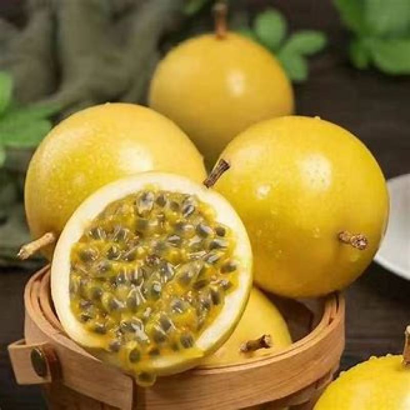 钦蜜9号黄金百香果