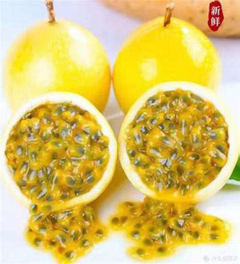 钦蜜9号黄金百香果