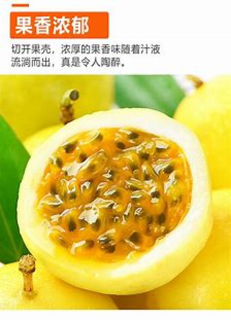 钦蜜9号黄金百香果