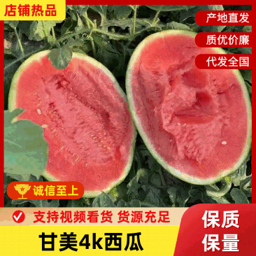 甘美4k,吊兰,小糖丸西瓜皮薄果肉鲜嫩质量可靠