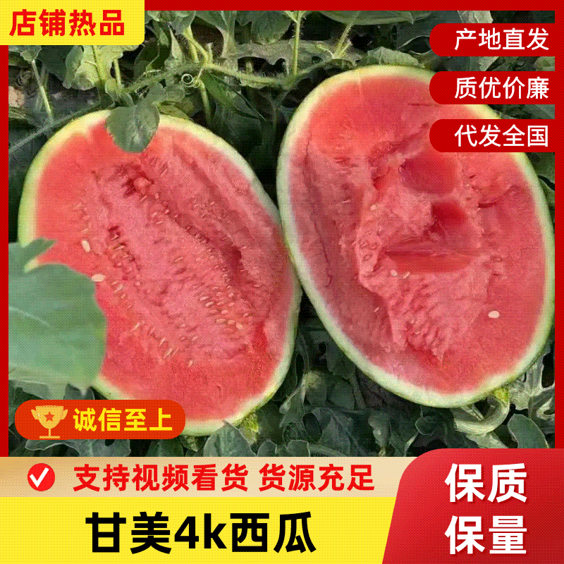 甘美4k，吊兰，小糖丸西瓜皮薄果肉鲜嫩质量可靠