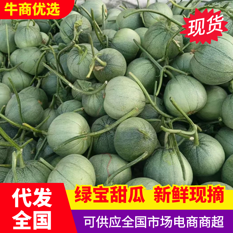 山东绿宝甜瓜头茬精品一手货源瓜形端正货量大甜度高口感脆甜