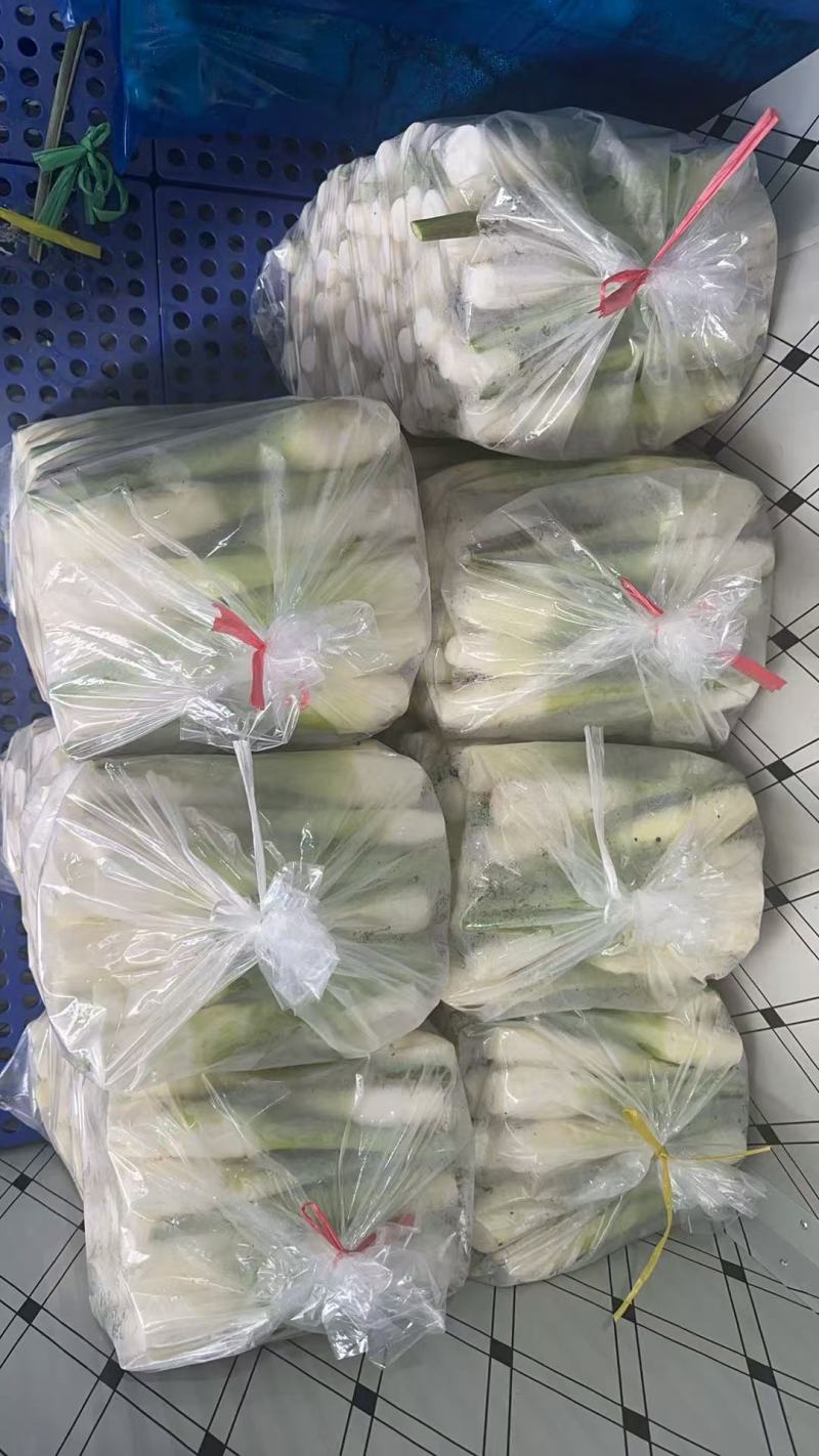 茭白条子货源充足量大从优诚信经营致电联系