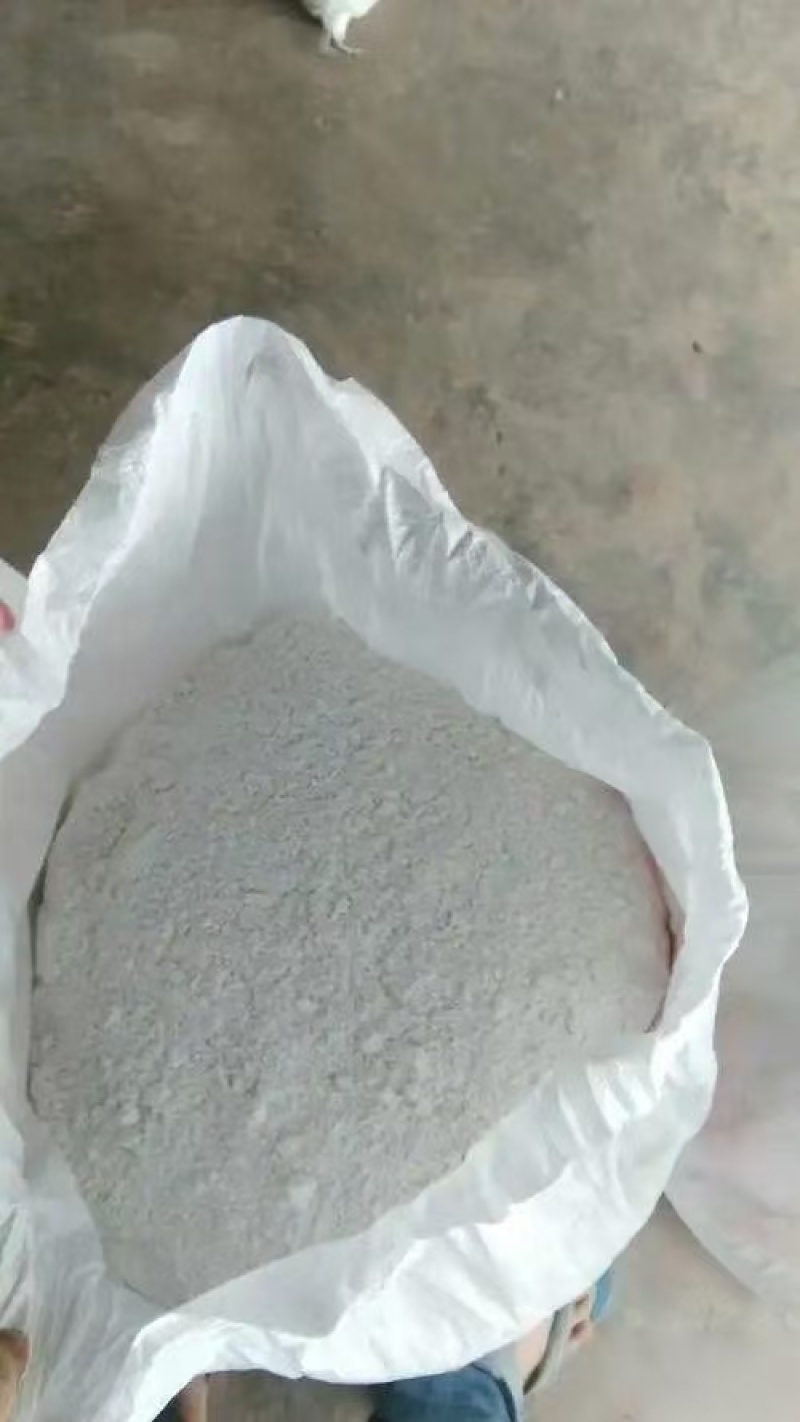 芭蕉芋淀粉量大质优价格优惠支持视频看货欢迎老板采购