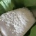 芭蕉芋淀粉量大质优价格优惠支持视频看货欢迎老板采购