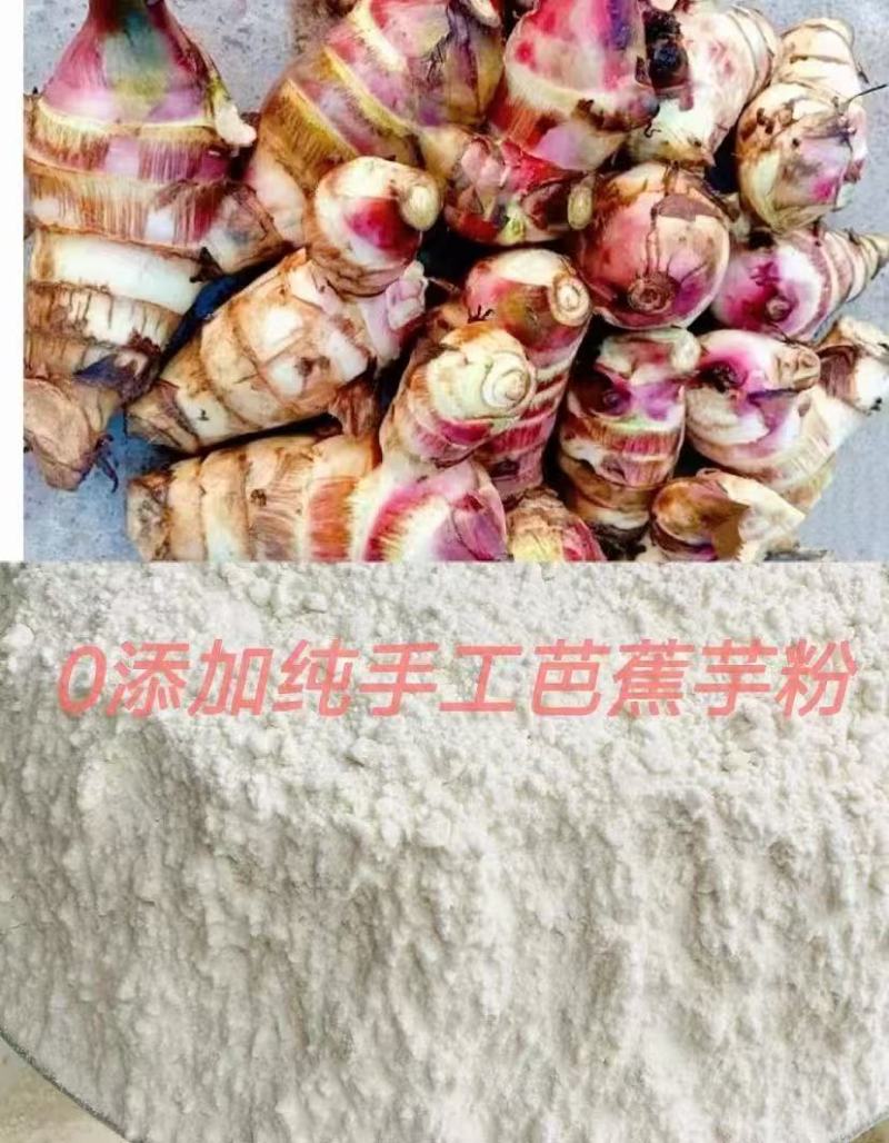 芭蕉芋淀粉量大质优价格优惠支持视频看货欢迎老板采购