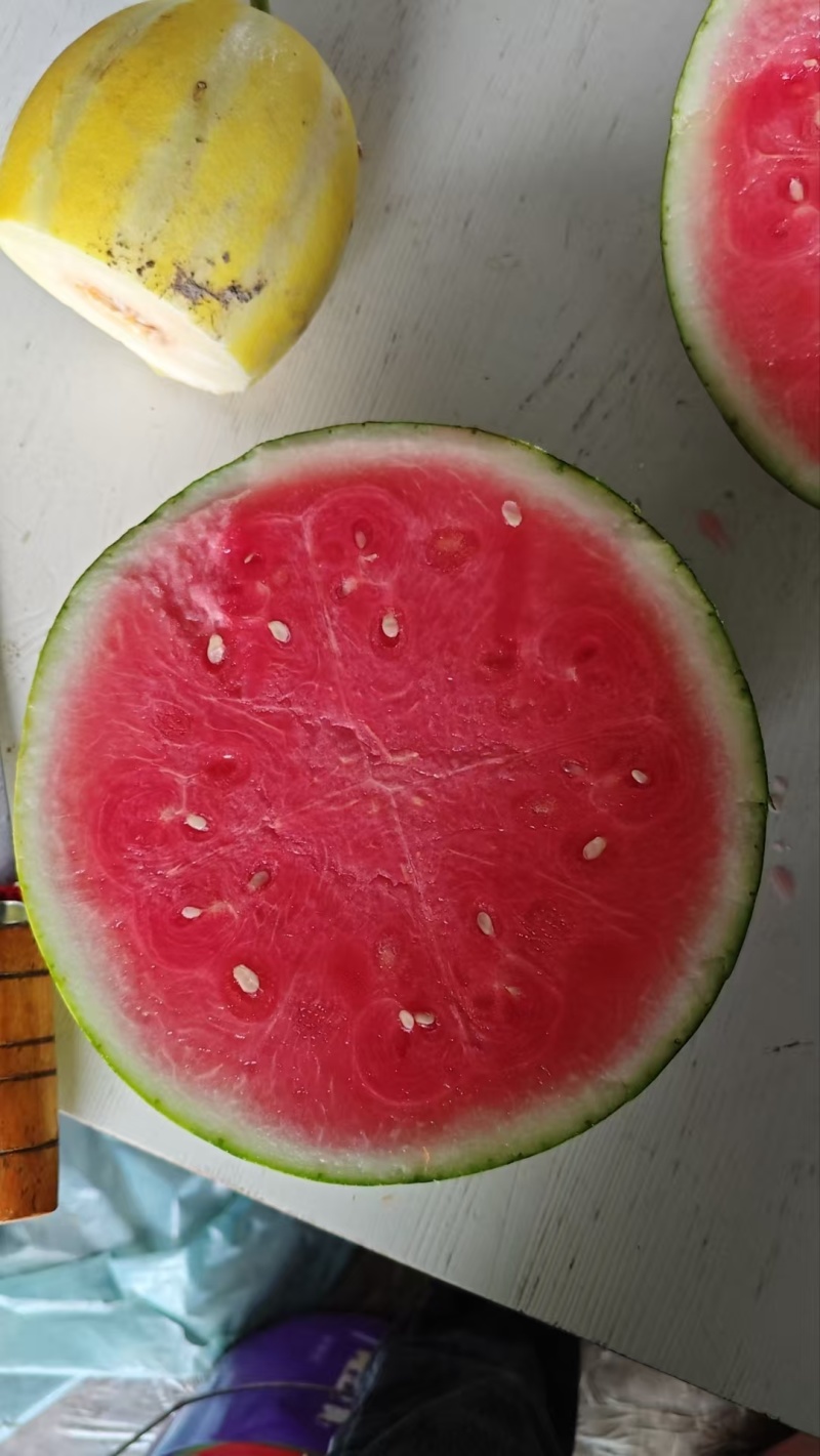 精品美都麒麟西瓜，产地直供，头茬瓜质量精品，量大从优