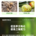 植挥官肥料瓜果蔬菜快速生根壮苗微生物菌剂养根护根防根