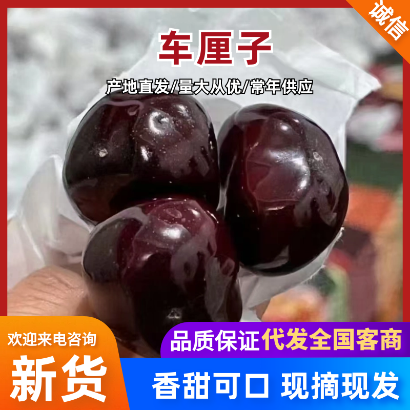 车厘子四川车厘子大樱桃，大量现货供应，规格齐全，价格可谈