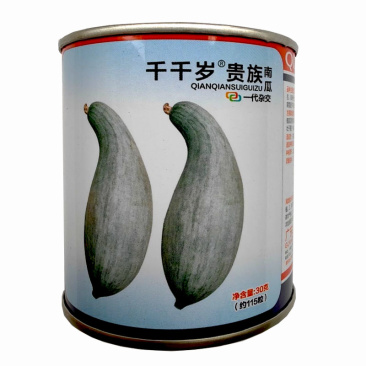 南瓜贵族板栗南瓜种籽孑千千岁一代杂交基地专用大全粉糯