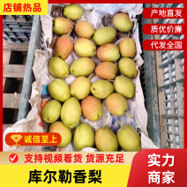 新疆库尔勒香梨新疆梨产地直发品质保障对接商超市场