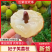 广东妃子笑广西妃子笑白糖罂黑叶荔枝桂味白蜡代办欢迎咨询