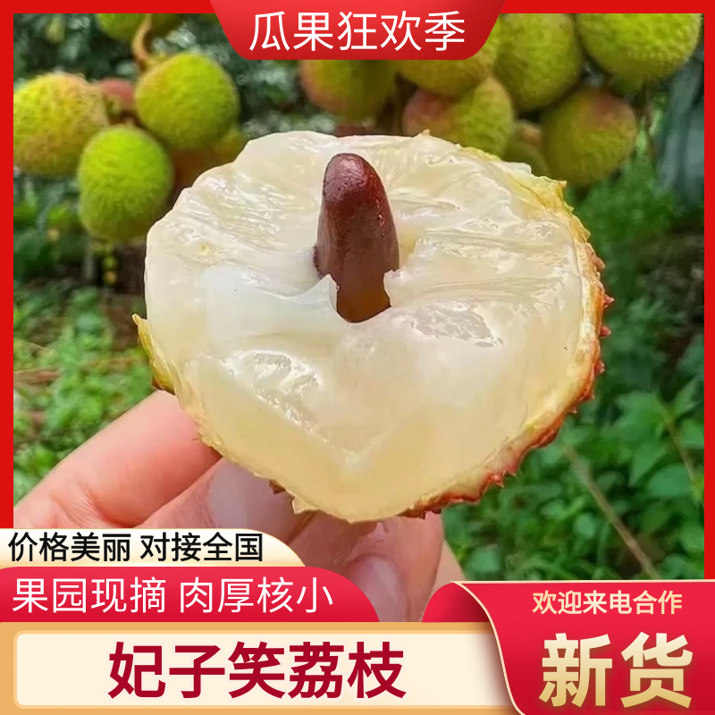 广东妃子笑广西妃子笑白糖罂黑叶荔枝桂味白蜡代办欢迎咨询