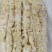 对接全国市场猪大肠，欢迎各地区老板选购，正在热卖中