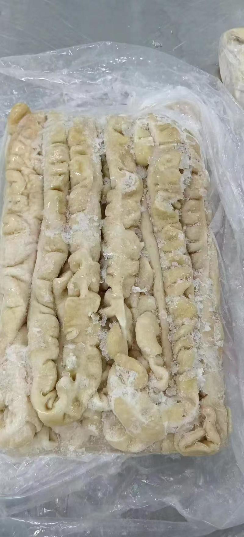 对接全国市场猪大肠，欢迎各地区老板选购，正在热卖中