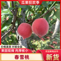 【河北毛桃】春雪桃产地直发货源充足商超品质欢迎咨询