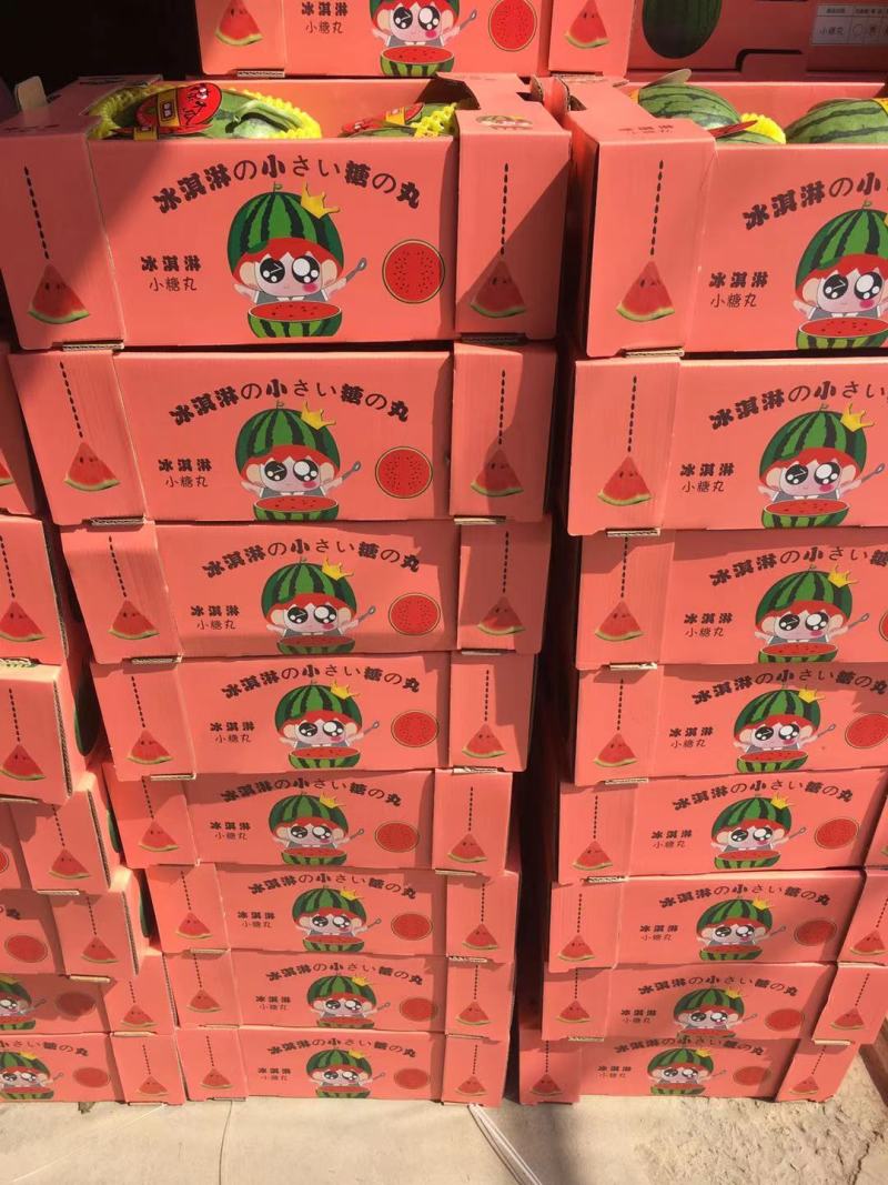 河北保定小糖丸西瓜小吊瓜头茬全美2k货量大品质好价格低