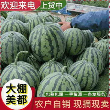 《农户自种》大棚瓜/大棚美都西瓜/重庆西瓜/重庆美都西瓜