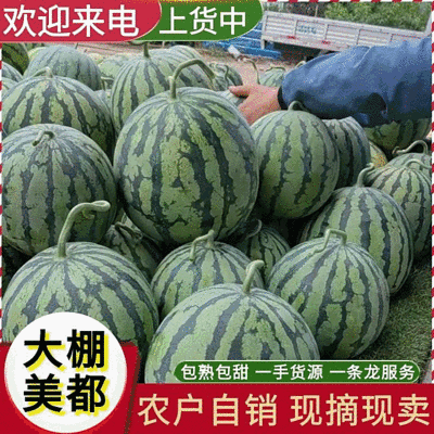 《农户自种》大棚瓜/大棚美都西瓜/重庆西瓜/重庆美都西瓜