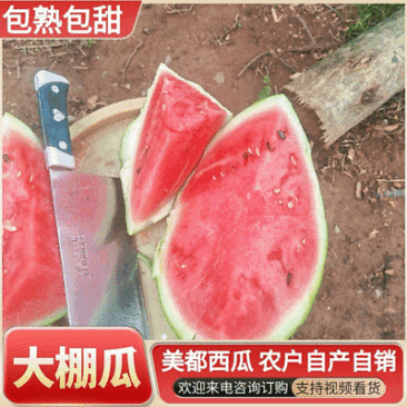 《包熟包甜》大棚美都西瓜/重庆西瓜/10斤打底九成熟头茬