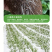植挥官肥料花卉瓜果蔬菜生根液快速壮苗微生物菌剂养根护