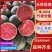 【千人收藏】河北麒麟西瓜/麒麟美都/麒麟有籽/麒麟无籽