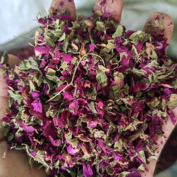 玫瑰花沫批发玫瑰花瓣碎大量供应