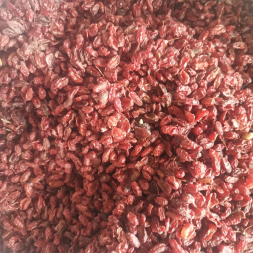 山萸肉精品筒子皮色红无硫无增重