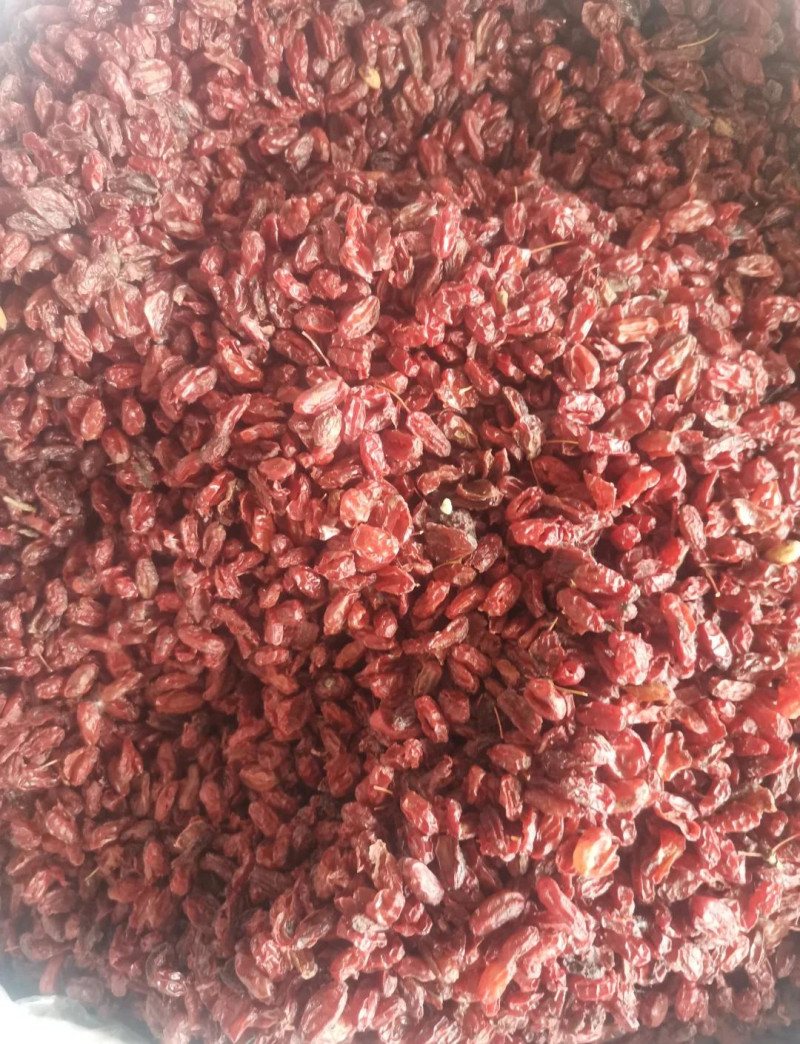 山萸肉精品筒子皮色红无硫无增重