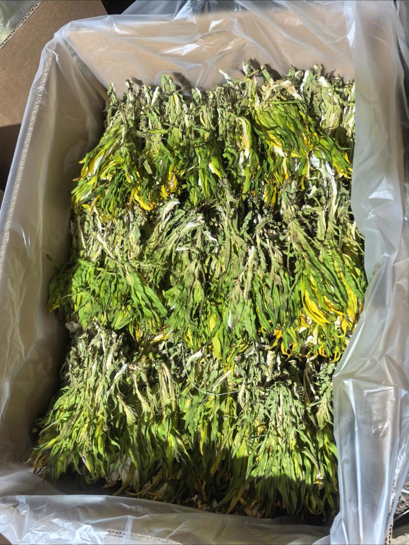 【实力推荐】鲜干霸王花、剑花产地直发可视频看货对接全国