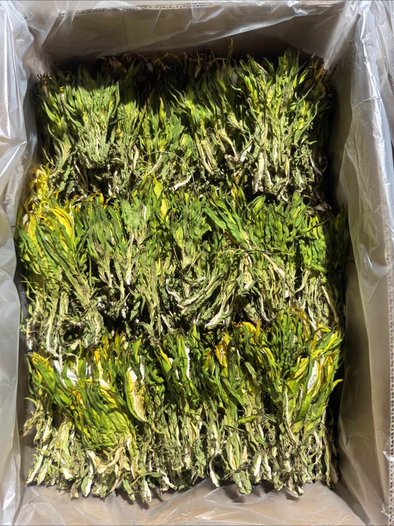 【实力推荐】鲜干霸王花、剑花产地直发可视频看货对接全国
