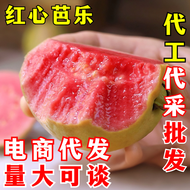 红心芭乐一件代发胭脂红番石榴新鲜水果红色肉芭乐鸡屎果