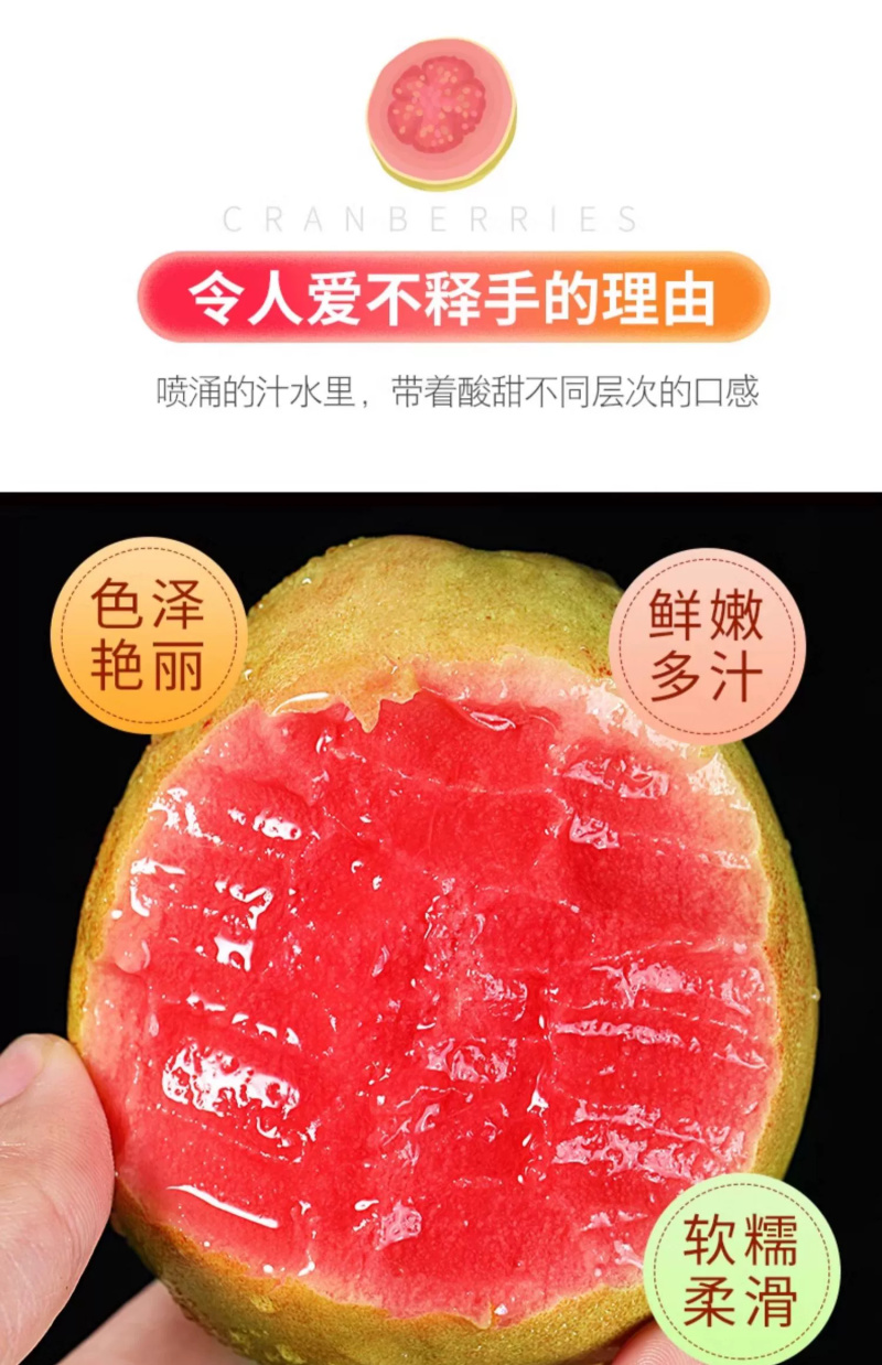 红心芭乐一件代发胭脂红番石榴新鲜水果红色肉芭乐鸡屎果