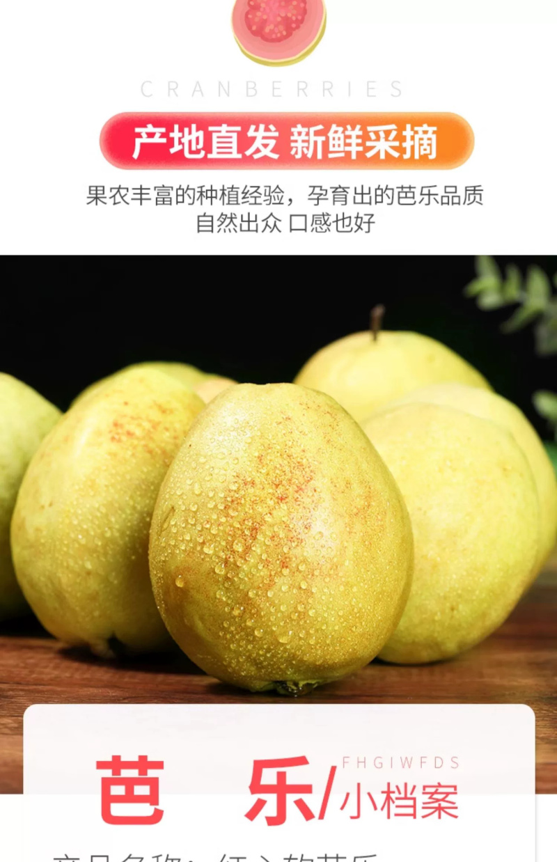 红心芭乐一件代发胭脂红番石榴新鲜水果红色肉芭乐鸡屎果
