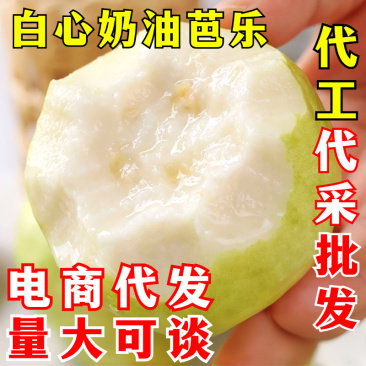 白心芭乐一件代发白心番石榴新鲜水果白色奶油芭乐鸡屎果