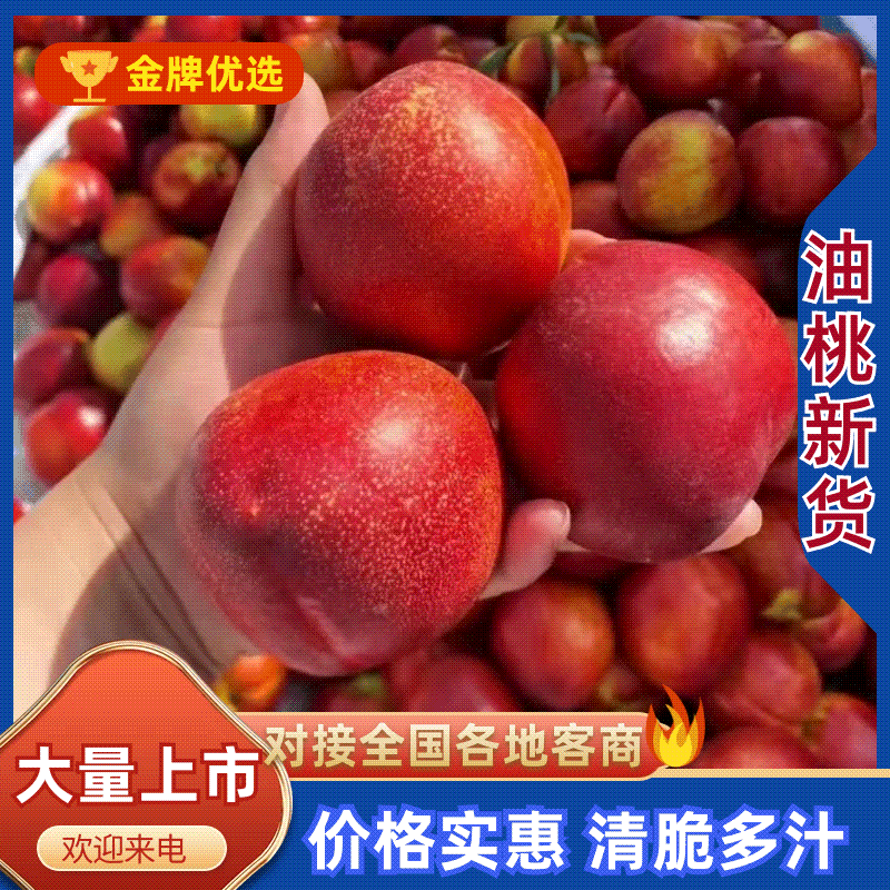 湖北油桃/金雷/曙光/中油桃口感脆甜多汁产地发货品质佳