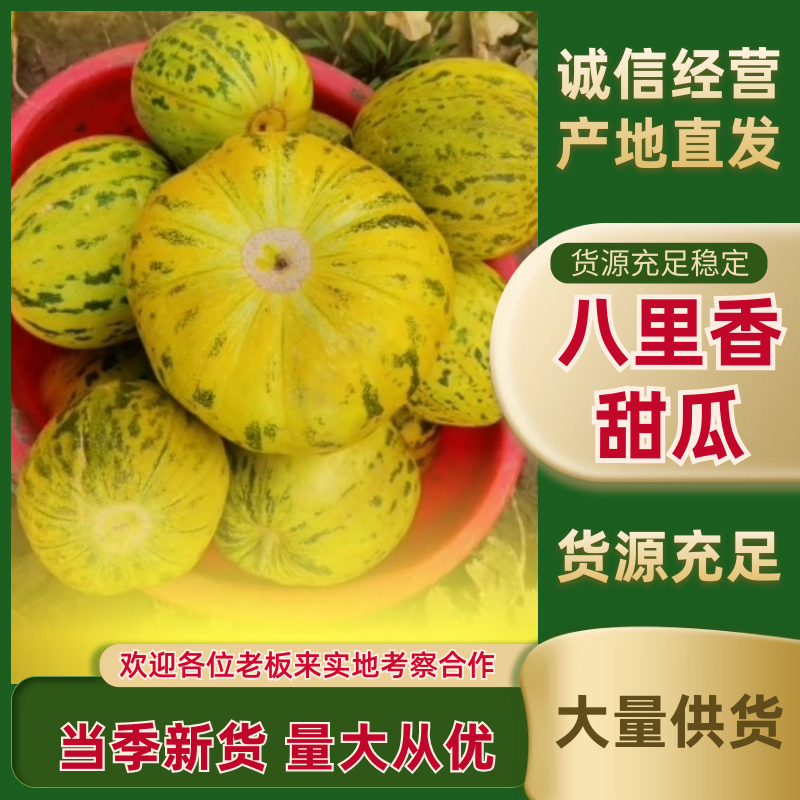 黑龙江优质八里香甜瓜现货先发产地一手货源价格优惠欢迎咨询