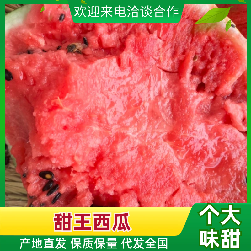 2k西瓜品种保障服务周到产地直发价格美丽