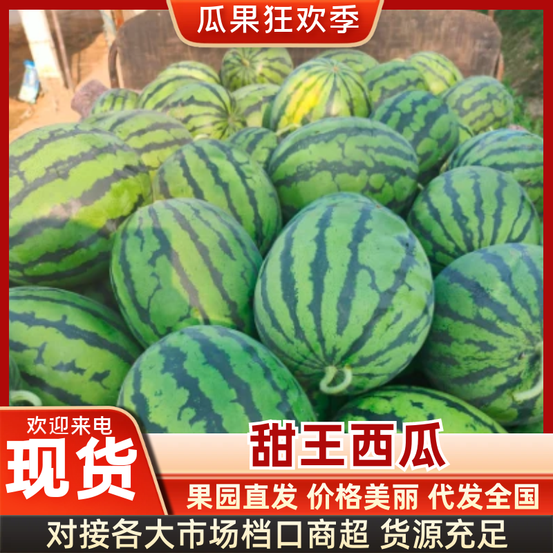 甜王西瓜大量上市中产地直供甜度高耐运输欢迎咨询