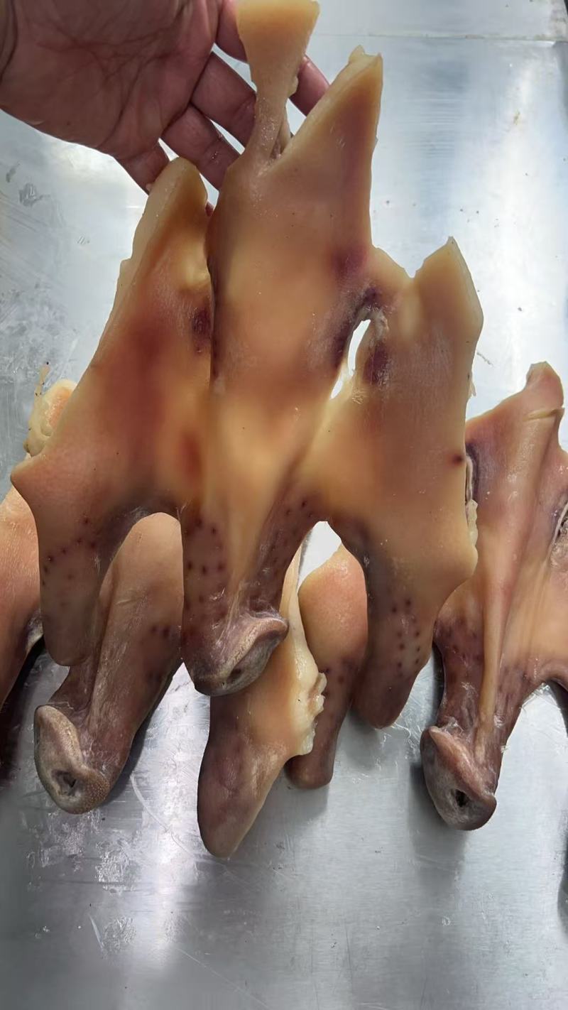 风干咸猪脸皮不带耳朵手工搓盐资质齐全吃的放心家庭用餐饮用常