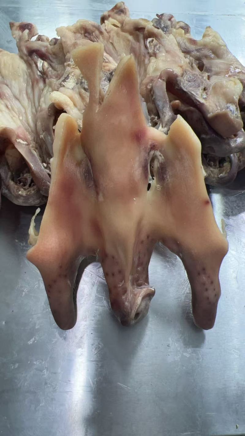 风干咸猪脸皮不带耳朵手工搓盐资质齐全吃的放心家庭用餐饮用常