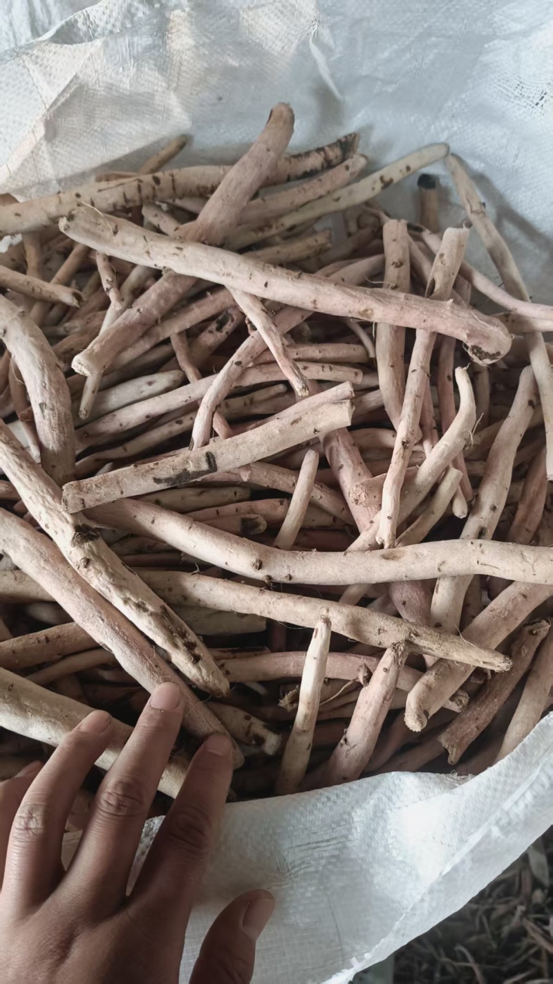 白芍基地直发保质保量规格齐全量大优惠视频看货