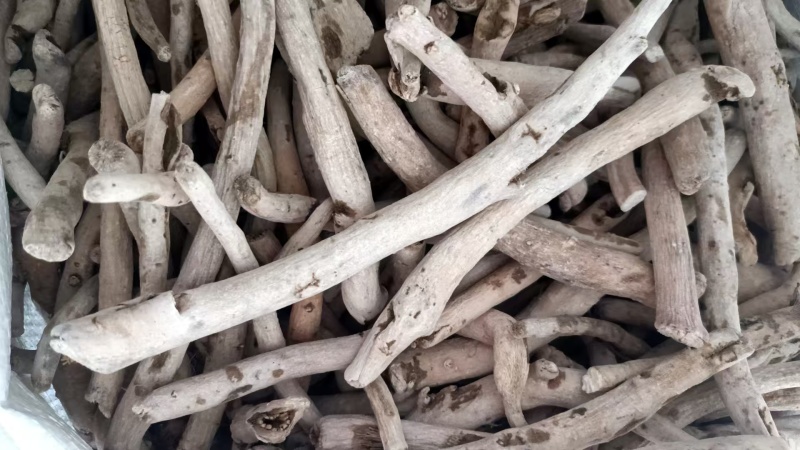 白芍基地直发保质保量规格齐全量大优惠视频看货