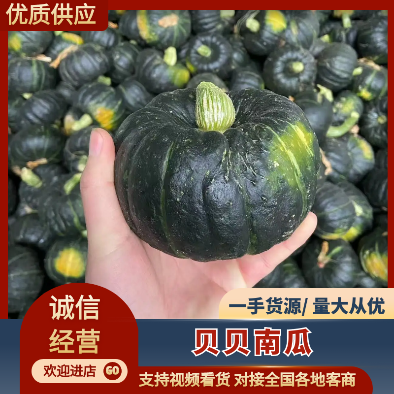 板栗南瓜，贝贝南瓜，陕西产区，现货速发欢迎选购